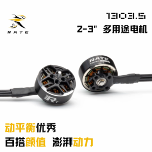 RATE 1303.5 Motor